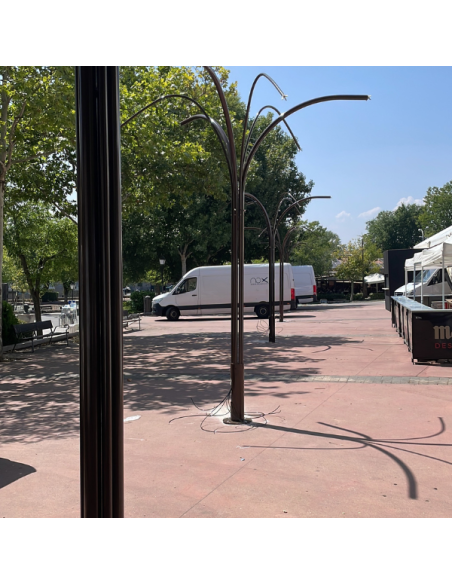 Palmera de Nebulización para Plazas y Eventos | Drip&Fresh