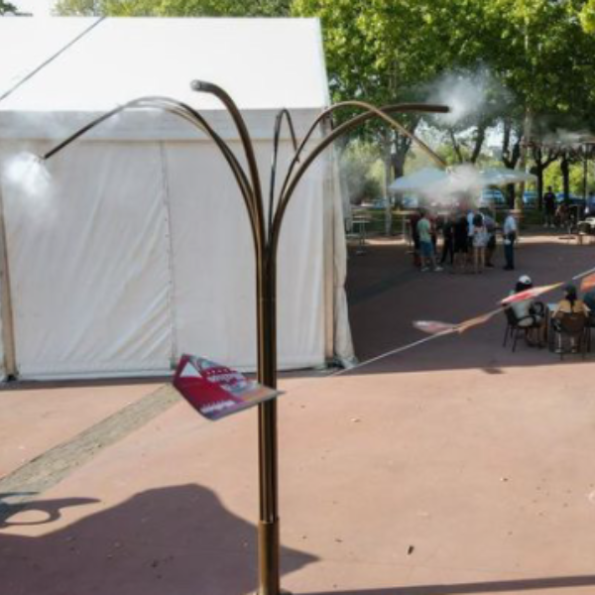 Palmeira de nebulização para lugares e eventos | Drip&Fresh